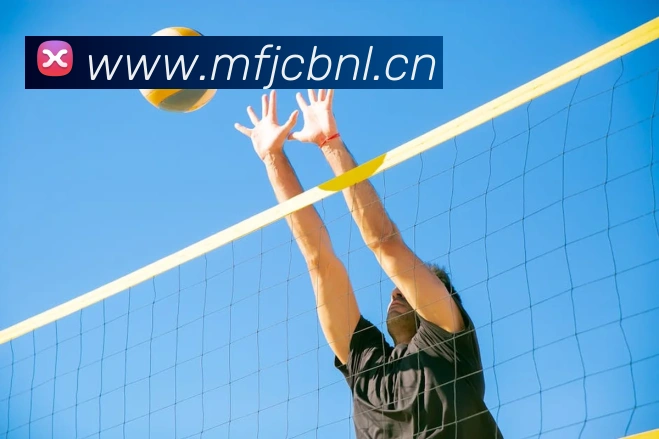 米兰网官网登录入口APP 封面图